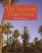 The Arabian Date Palm