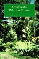 ORNEMENTAL PALM HORTICULTURE