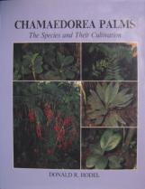 Chamaedorea Palms