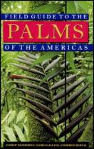 Fiefd Guide to the palms of the Americas