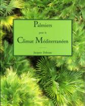 PALMIERS POUR LE CLIMAT MEDITERRANEEN