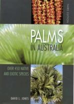 PALMS IN AUSTRALIA