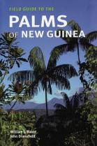 Palms of New Guinea